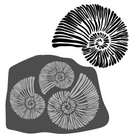 Prehistoric bones of animals isolated on white background. In black and white style.のイラスト素材