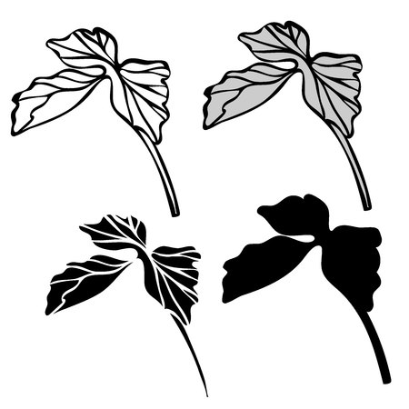 Beautiful botanical vector with flowers watershed. Black silhouettes on white background.のイラスト素材
