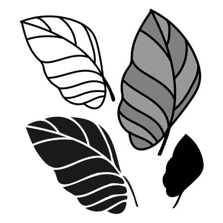 Isolated black and white vector design of tropical leaves, lined, silhouetteのイラスト素材