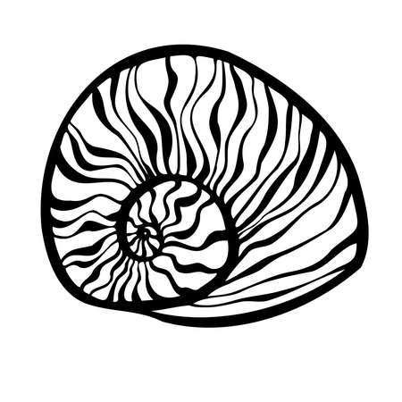 Decorative isolated black and white elegant illustration design of lined seashellのイラスト素材