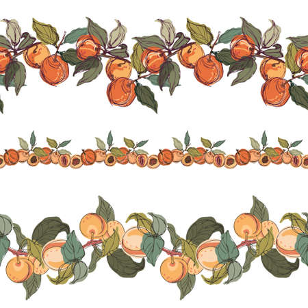Modern seamless stylized design vector pattern with peaches and apricots in lines on white backgroundのイラスト素材