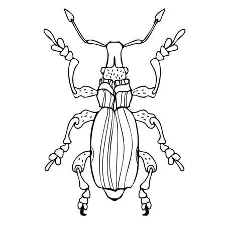 Isolated black and white design vector illustration of a lined bugのイラスト素材