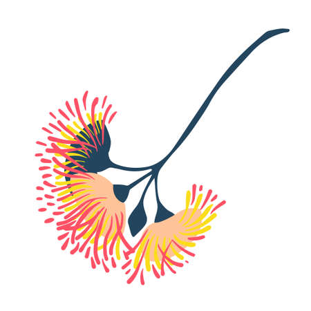 Modern isolated stylized design with abstract colorful eucalyptus flowersのイラスト素材