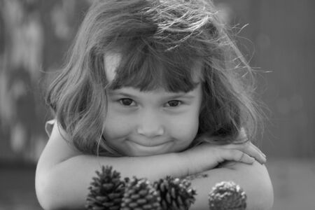 Little girl gathering conifer conesの写真素材