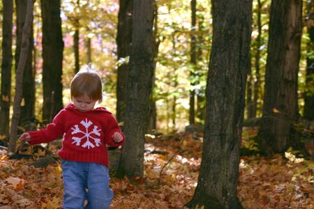 Little girl walking in fallen leavesの写真素材