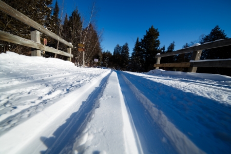 Crosscountry ski trailの写真素材