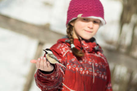 Girl hand-feeding a black-caped chickadeeの写真素材