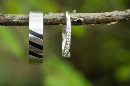 Wedding rings in the natureの写真素材