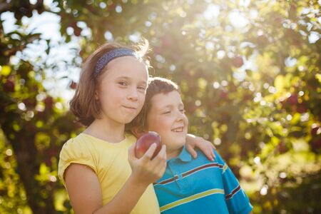 Brother and sister laughing and eating apples in an orchardの写真素材