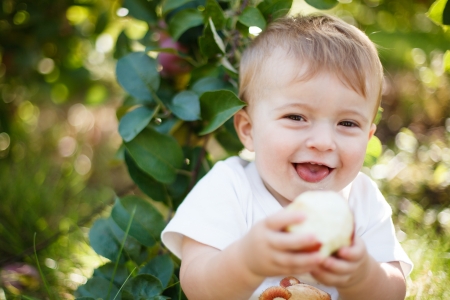 Baby eating a red apple in an orchardの写真素材