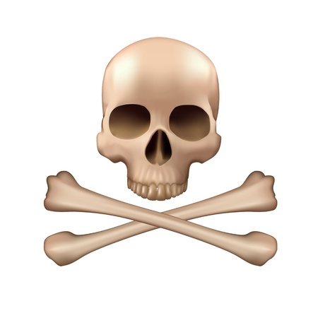 Realistic vector skull and bonesのイラスト素材