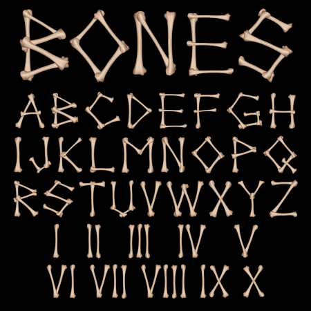 Bones Alphabet and numbers vectorのイラスト素材