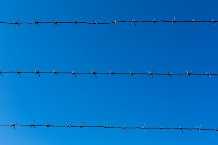Barbed wire on the blue sky backgroundの写真素材