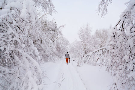 Lumberjack walks in a snowy forestの写真素材