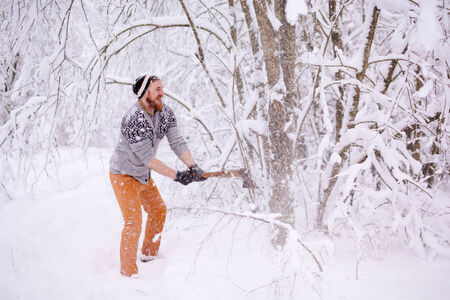 Lumberjack chopping woodの写真素材