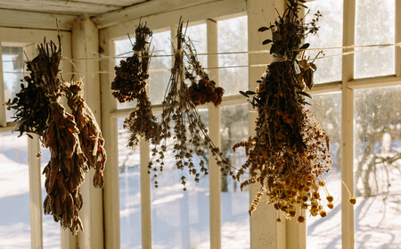 Dried herbsの写真素材