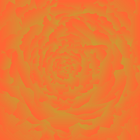 Abstract rose backgroundのイラスト素材