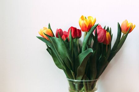 Bouquet of color tulips in a clear plastic cup near white wallの写真素材