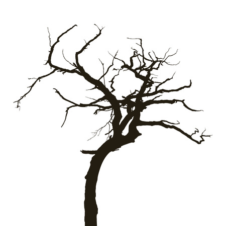 Curved treeのイラスト素材