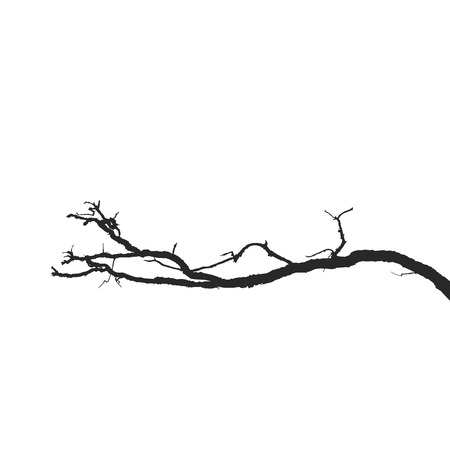 Dead branches. Vector Silhouette dry branch isolated on a white backgroundのイラスト素材