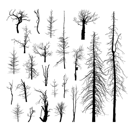 Set silhouettes of dead trees. Vector set of detailed silhouettes of trees without leaves on a white background isolatedのイラスト素材