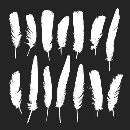 Feathers silhouettes set. Vector set of silhouettes of bird feathers on a dark isolated backgroundのイラスト素材
