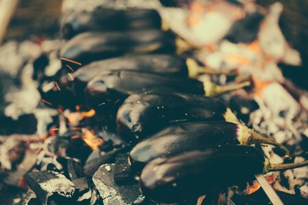 Eggplant on a skewer roasting on coals. Cooking eggplant charcoal closeup.の写真素材