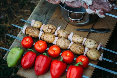 Vegetables on skewers. Meat for barbecue in the pan.の写真素材