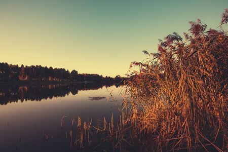 Russian lake surrounded by trees photo evening.の写真素材