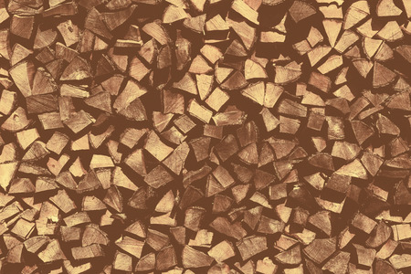 Dry wood a beautiful color photo closeupの写真素材