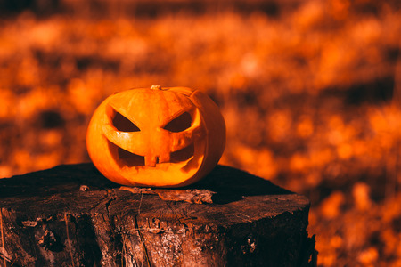 Color photo outdoors closeup halloween pumpkin in forest.の写真素材