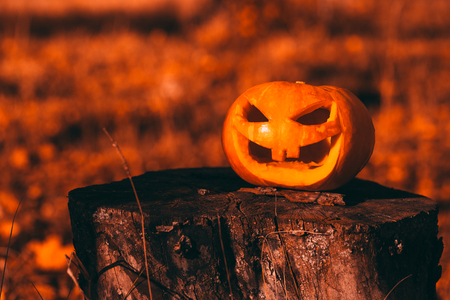 Color photo outdoors closeup halloween pumpkin in forest.の写真素材