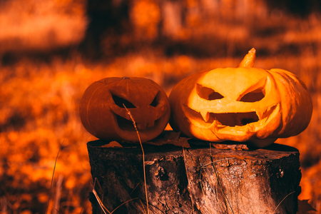 Color photo outdoors closeup halloween pumpkins in forest.の写真素材