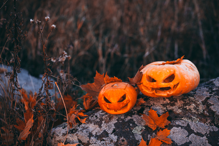 Color photo outdoors closeup halloween pumpkins in forest on stone.の写真素材