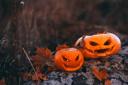 Color photo outdoors closeup halloween pumpkins in forest on stone.の写真素材