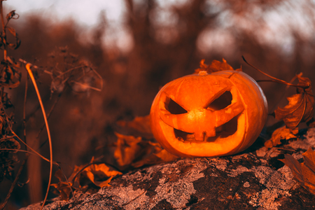 Color photo outdoors closeup halloween pumpkin in forest.の写真素材