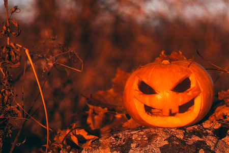 Color photo outdoors closeup halloween pumpkin in forest.の写真素材