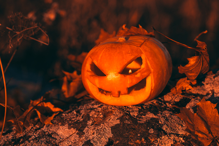 Color photo outdoors closeup halloween pumpkin in forest.の写真素材