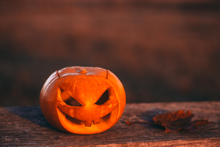 Color photo outdoors closeup halloween pumpkin in forest.の写真素材