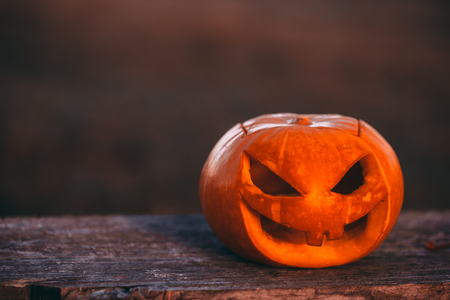 Color photo outdoors closeup halloween pumpkin in forest.の写真素材