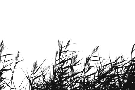 Black and white vector of rye on a white background.のイラスト素材