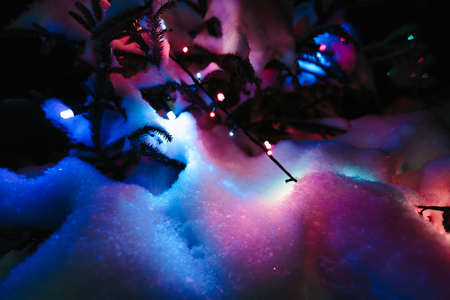 Decorated fir tree with the snow on branches close up.の写真素材