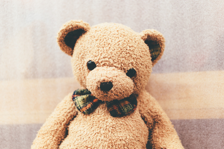 Soft bear brown color with butterfly tie. Close up photo.の写真素材