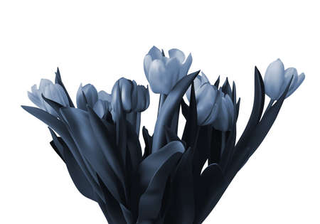 Painted bouquet color beautiful tulips on a white background.の写真素材