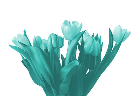 Painted bouquet color beautiful tulips on a white background.の写真素材