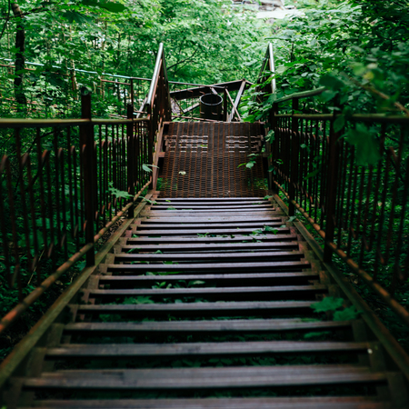 Wooden stairs in the green forest. Nature wallpaper.の写真素材