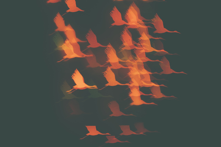 Many orange cranes birds on a dark background. Design wallpaper.の写真素材