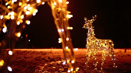 Family of deer bright festive Christmas illuminationsの写真素材