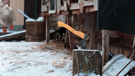 ax stuck in the stump. place of executionの写真素材