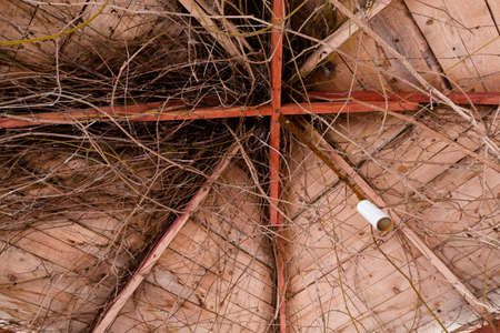 Dry branches of a tree against a wooden roof. Abstract photo.の写真素材